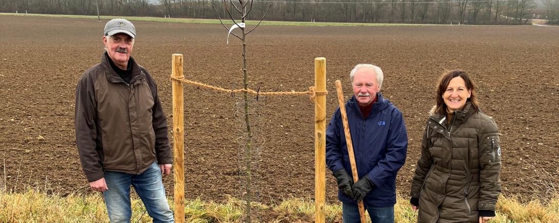 Das Bild zeigt von links nach rechts: Wilhelm Faul (Vorsitzender des OGV Harburg), Altbürgermeister Anton Fischer, Stadträtin und Umweltreferentin Martina Thiel.