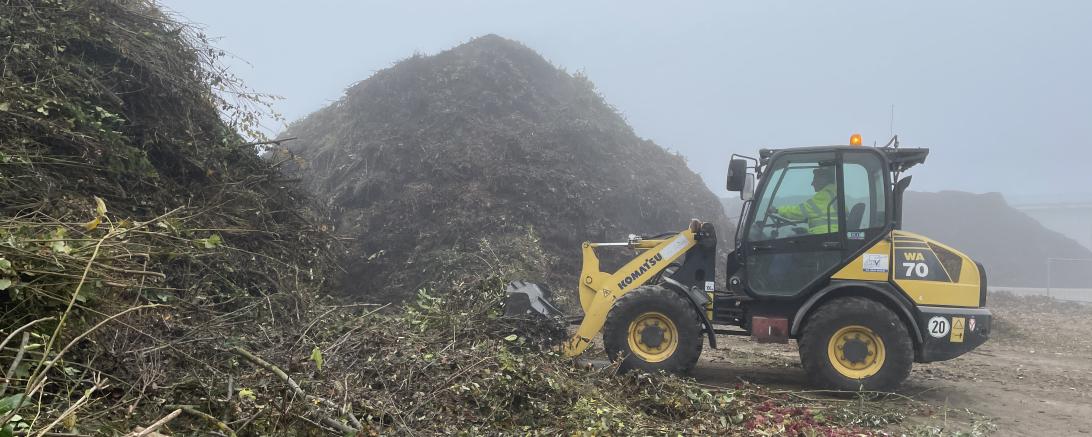 Grünsammelplätzender