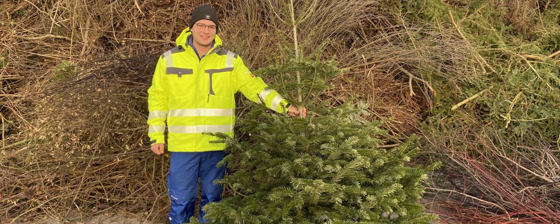 Christbaum entsorgen