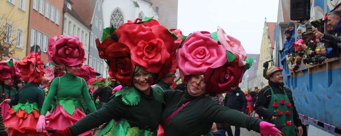 Faschingsumzug Donauwörth 2026