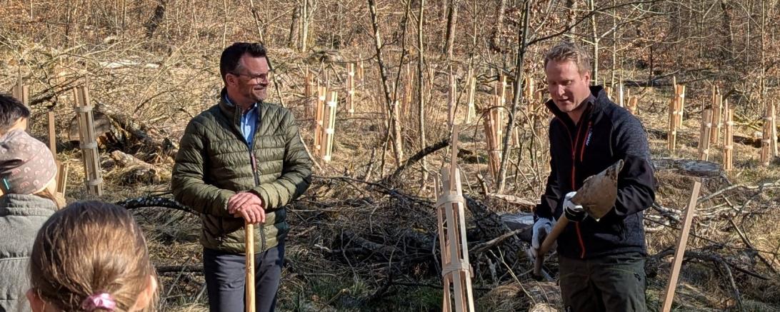 Baumpflanzaktion Stadt Donauwörth