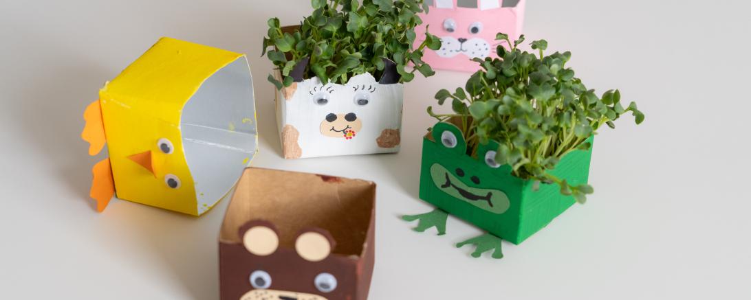 Eine Pflanze beim Wachsen zu beobachten, ist etwas Besonderes. Der Pflanze, die im Kurs ausgesät wird, kannst man sogar essen.