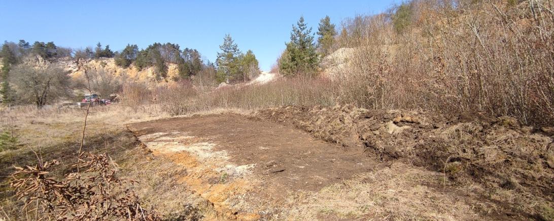 Neue Lebensräume für Wildbienen und Amphibien in Nördlingen geschaffen.