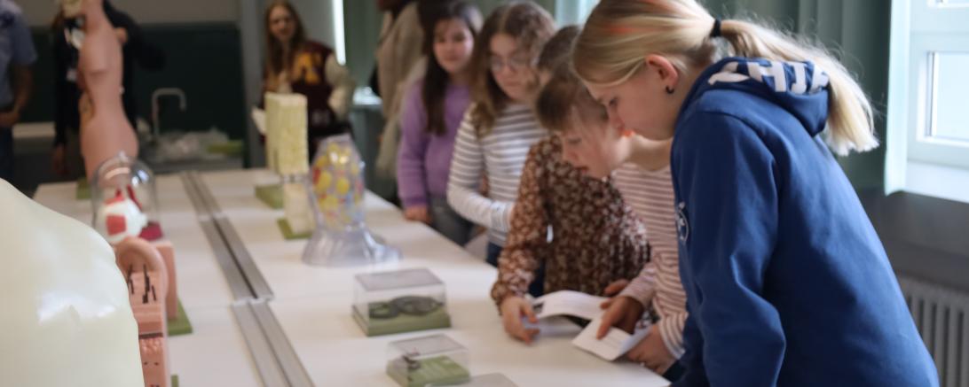 Viele interessante Einblicke gibt es für die Schülerinnen und Schüler, aber auch für die Eltern beim Infovormittag am THG Nördlingen.