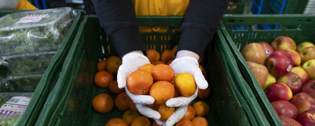 Gespendete Lebensmittel