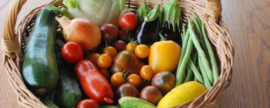 Jungpflanzenmarkt der Alten Gärtnerei e.V.