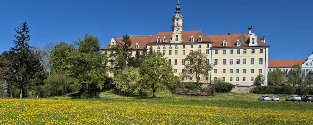 Donauwörth Open-Air im Sommer findet auf der Heilig-Kreuz-Wiese auch ein Open-Air Kino statt