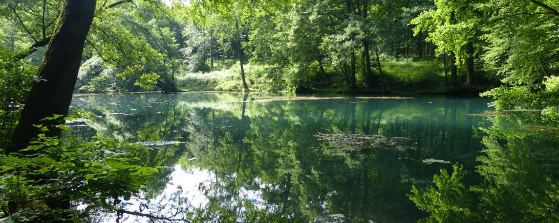  Der Wemdinger Doosweiher ist eines der Highlights am Sagenweg