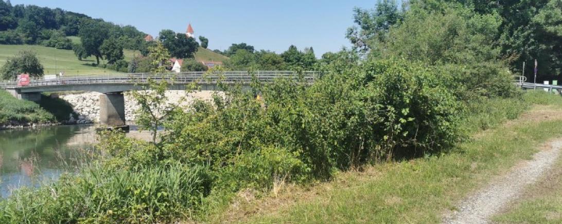 Die Donaubrücke bei Schäfstall.