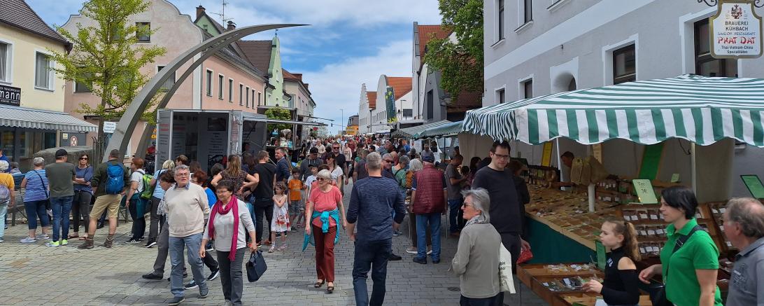 In Rain findet am 26. April der Maimarkt statt. 