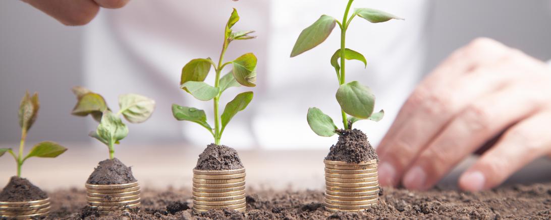 Symbolbild Geldanlage/wachsendes Geld