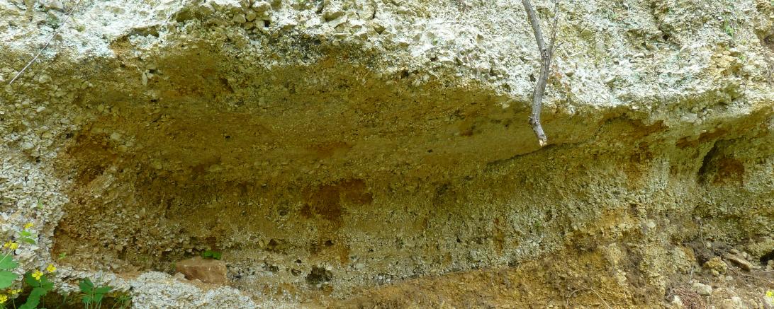 Aufschluss eines Mündungsdeltas in den Geotopen Kühstein Mönchsdeggingen.