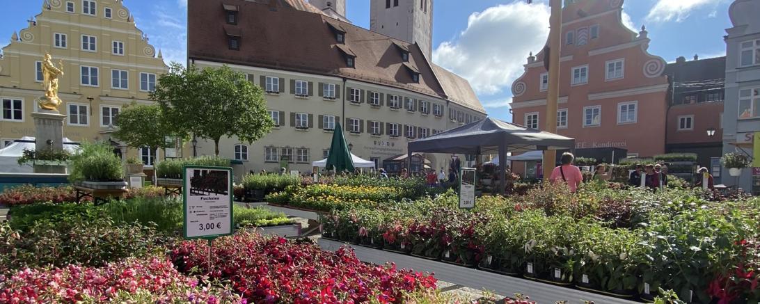 Fuchsienmarkt Wemding