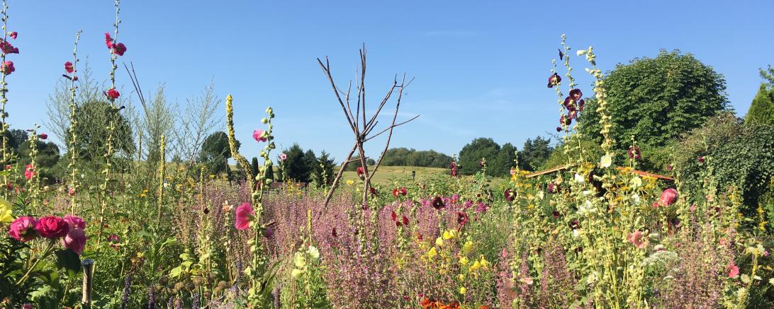 Naturnaher Garten