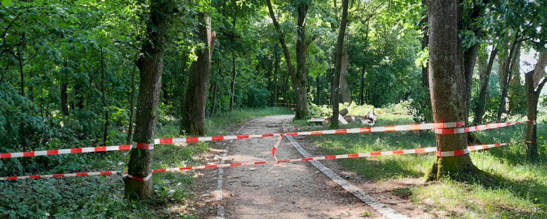 Sturmschäden in Nördlingen
