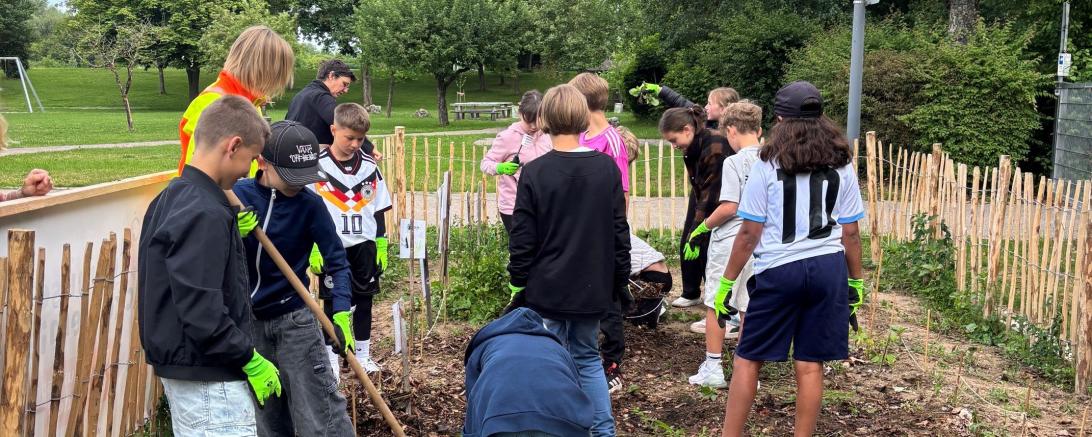 Die Schülerinnen und Schüler der Klasse 4c sind mit Feuereifer bei der Pflanzung der Sommergemüse.