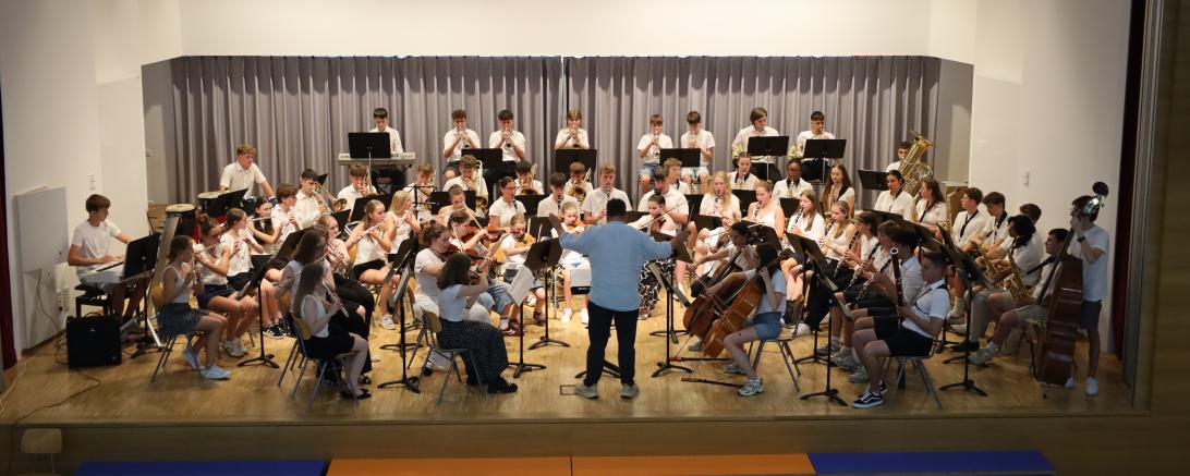 Das X-Large-Orchester löste besonders mit dem Medley aus "Lord of the dance" echte Begeisterungsstürme im Publikum aus.