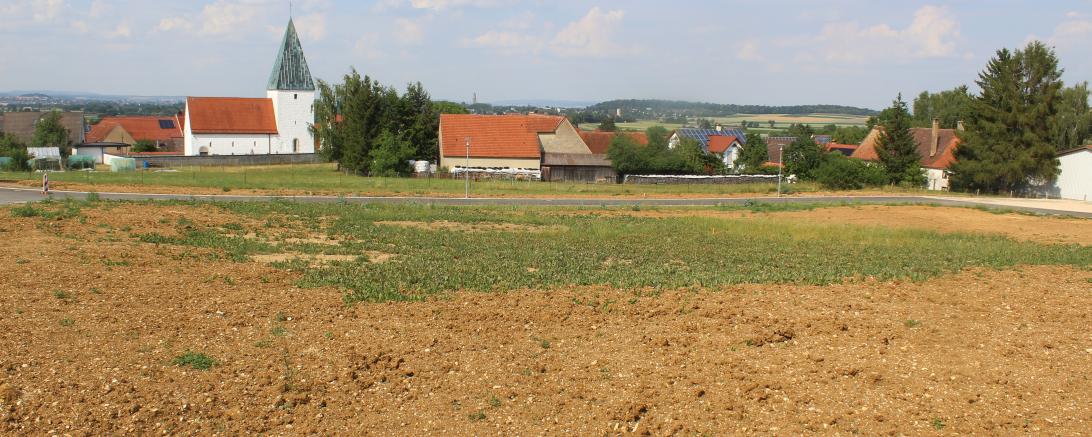 Insgesamt umfasst das Neubaugebiet südlich der Kirche 14 Bauplätze.