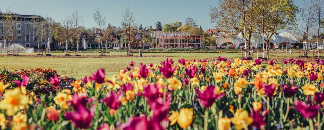 Landesgartenschau Ellwangen 2026