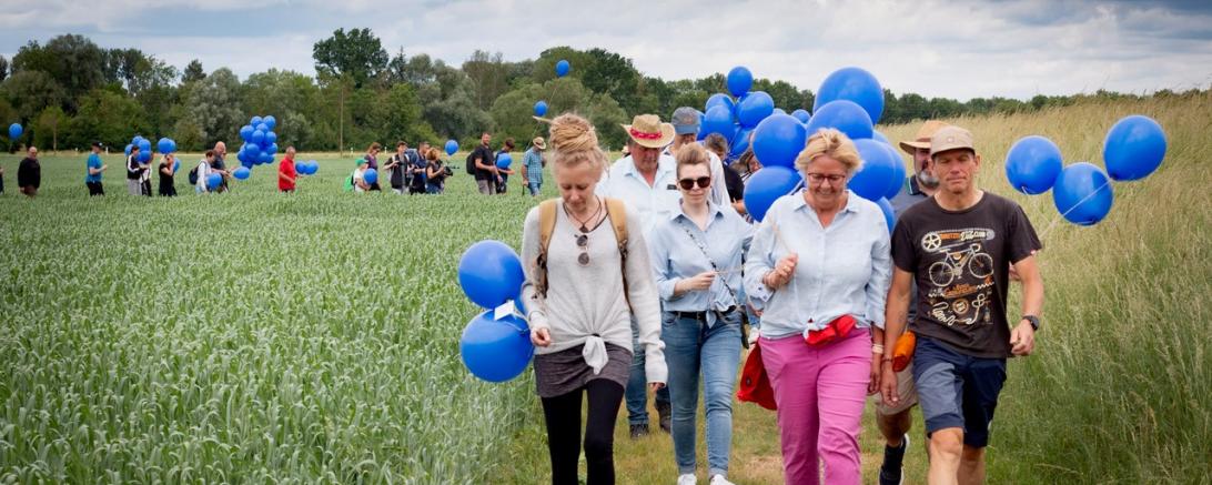 Deichwanderung bei Zusum. 