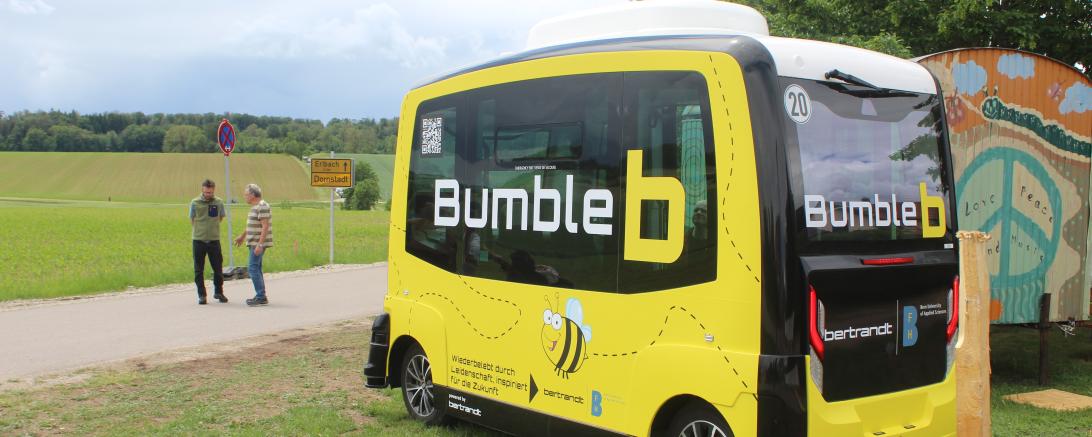 BumbleB Wudzdog