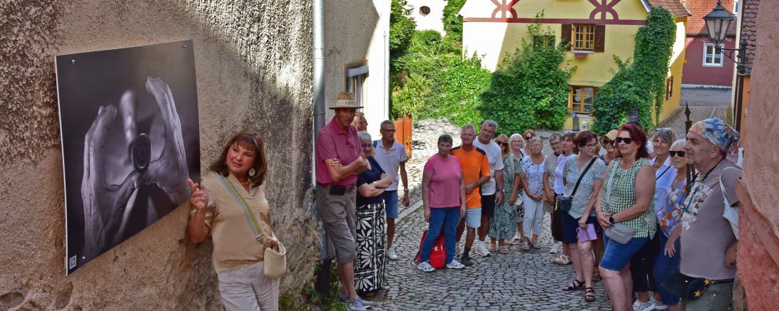 Zahlreiche Interessierte nahmen am Sonntagabend an einer Führung durch die Freilichtgalerie „KlangFingerSpiel“ in der Harburger Altstadt teil. 