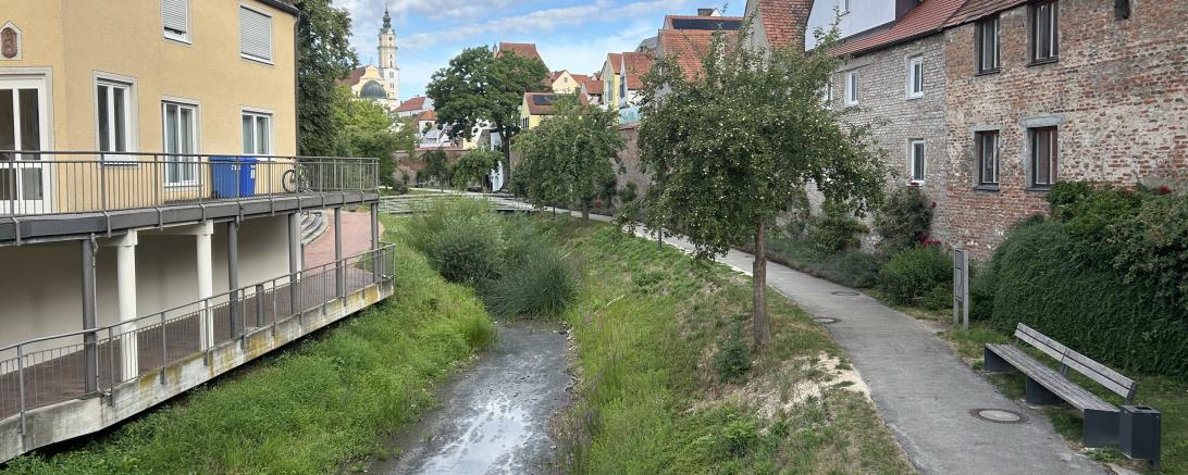 In den Sommermonaten ist die Kleine Wörnitz oft ausgetrocknet. 