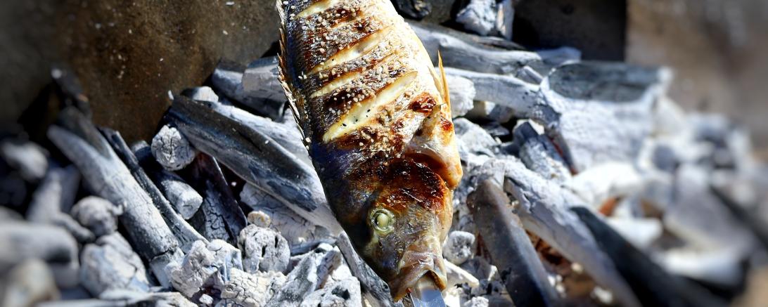 Fisch Grill