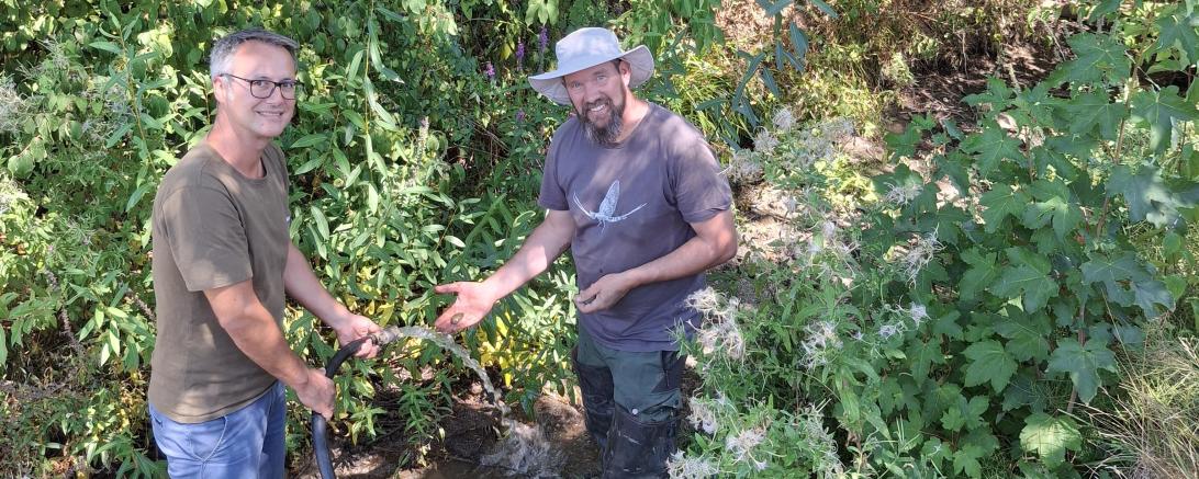 Gemeinsam für den Schutz der Bachmuschel: 2. Bürgermeister Steffen Höhn und Muschel- und Krebsberater Andre Holzinger lassen aufbereitetes Wasser in den Goldbach ein, um den Untergrund zu befeuchten und damit der streng geschützten Bachmuschel das Überstehen der anhaltenden Trockenperiode zu ermöglichen.