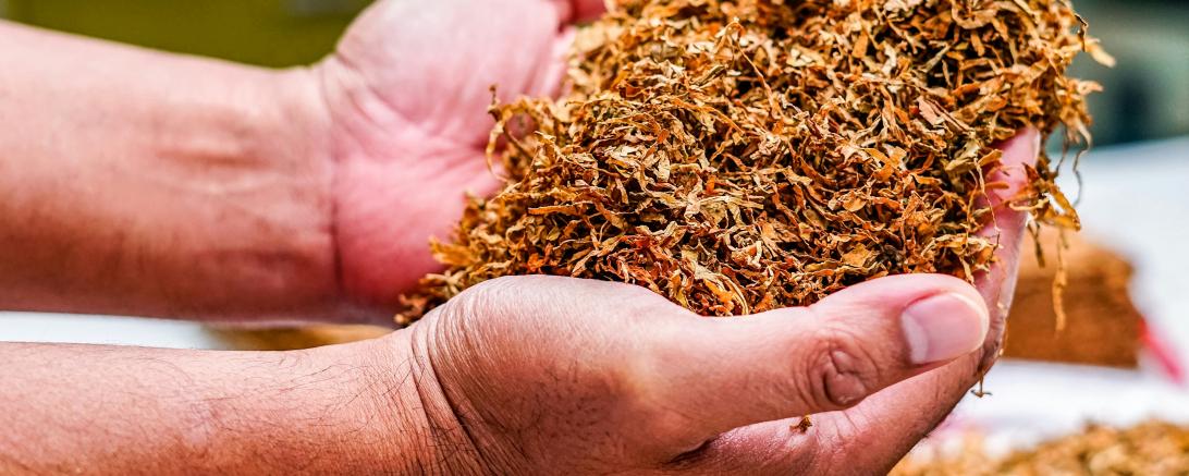 Getrockneter Rohtabak ist das traditionelle Ausgangsmaterial, dessen Inhaltsstoffe beim Rauchen durch Verbrennung freigesetzt werden.