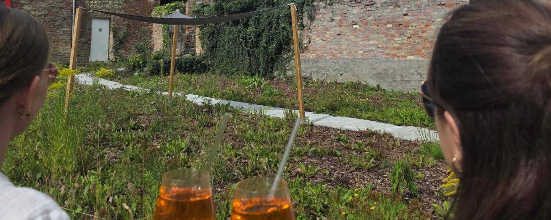 Gastroausschreibung Landesgartenschau 2028