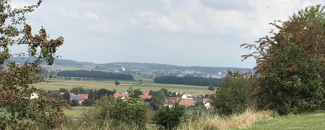 Blick vom Wennenberg