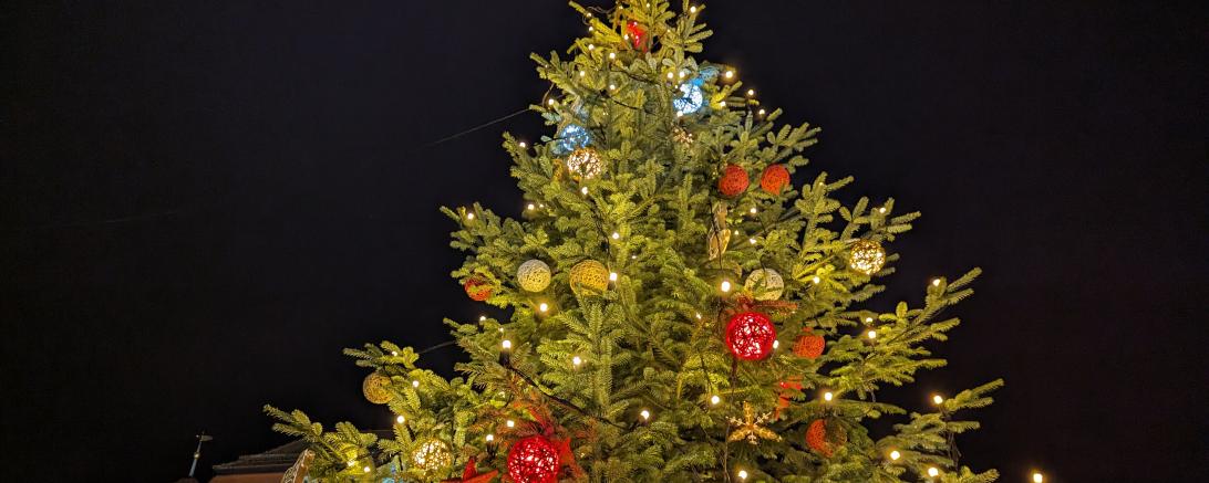 Donauwörther Weihnachtsbaum 