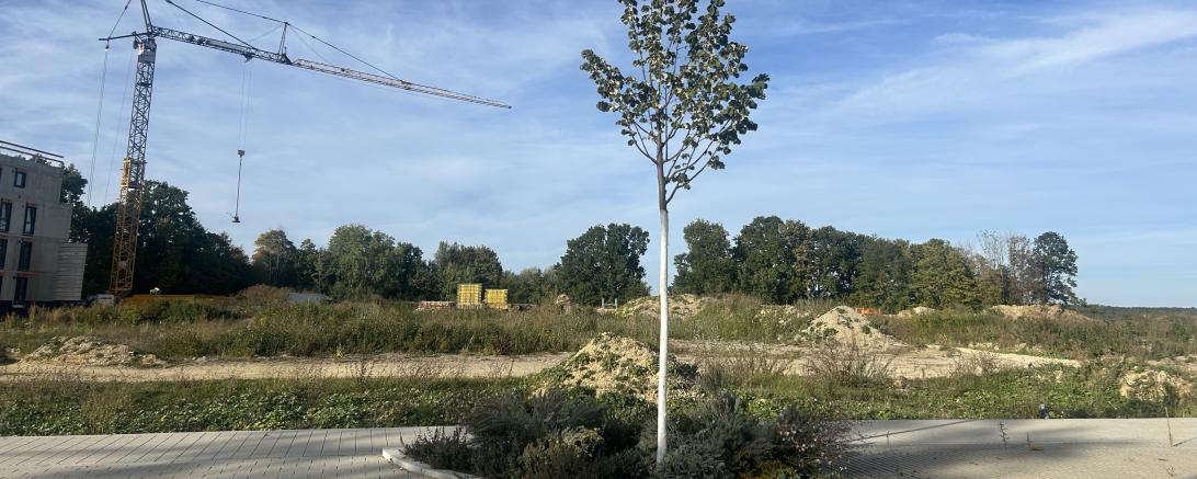 Auf zwei Baufeldern im Dr.-Alfred-Böswald-Ring sollen zwei Mehrparteienhäuser mit insgesamt über 120 Wohnungen entstehen. 