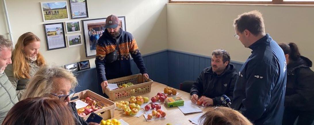Die Besucherinnen und Besucher während der Bestimmung von Obstsorten