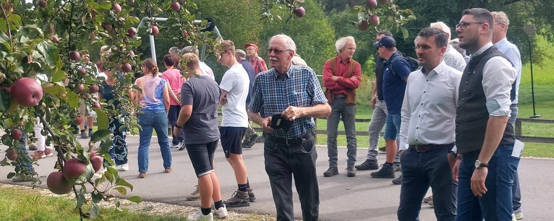 Landrat Michael Dinkelmeier und Harburgs Bürgermeister Christoph Schmidt (v.r.) bewundern einen reich behängten alten Apfelbaum