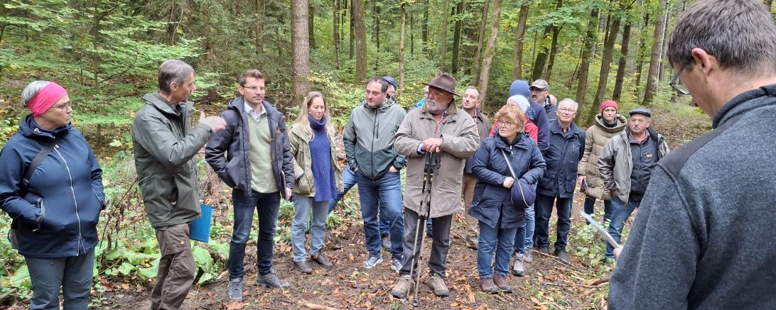 Beim Waldbegang des Nördlinger Stiftungswaldes erhielten die Teilnehmenden an verschiedenen Stationen Einblicke in die aktuelle Forstarbeit, die Aufforstung mit klimaangepassten Baumarten und die nachhaltige Bewirtschaftung des Waldes.