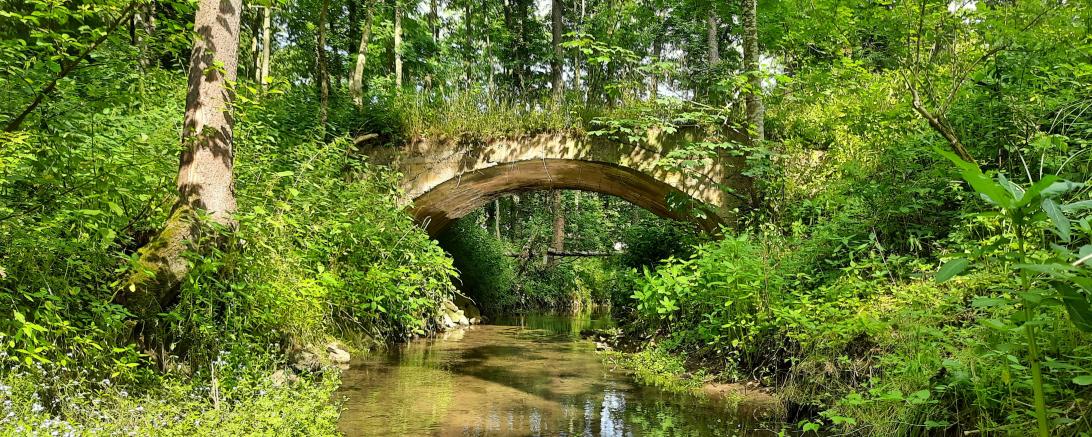Brücke der Boggelbahn im Schwalbtal 