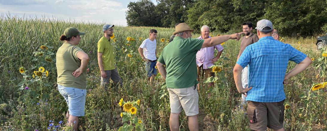 Ortstermin zwischen Sonnenblumen und Phacelia: Jagdpächter, Feuerwehr, Landwirte und Amtsmitarbeiter von AELF und ALE auf den neuen Blühflächen bei Munzingen 