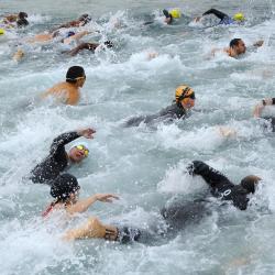 Das Bild zeigt Schwimmer beim Triathlon. 