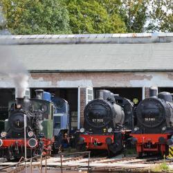 Den runden Geburtstag begeht der 1969 in München gegründete Verein mit einem großen Dampflokfest vom 30. Mai bis 2. Juni 2019 in den historischen Anlagen des Museumsbahnbetriebswerks in Nördlingen.