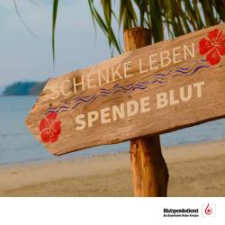 In der heißen Jahreszeit sinkt das Spendeaufkommen erfahrungsgemäß spürbar.