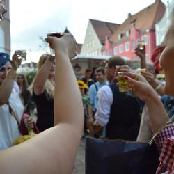 Alle zwei Jahre findet in Donauwörth das Reichsstraßenfest statt.