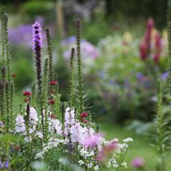Am 30. Juli 2019 findet "Blühende Phantasie" auf Schloss Baldern statt.