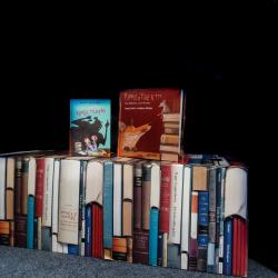 Das Bild zeigt Bücher