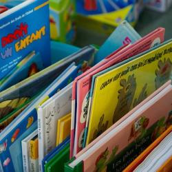 Das Bild zeigt einen Bücher von einem Flohmarkt