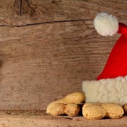 Das Bild zeigt eine Nikolausmütze