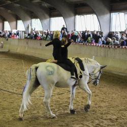 Zwischen 13:00 und 17:30 Uhr werden verschiedene Spiele für Kinder, Schnitzeljagd, Kinderschminken, ein Glücksrad mit tollen Preisen, Ponyreiten, Waffeln & Zuckerwatte angeboten. Im Imbiss wird für das leibliche Wohl gesorgt.