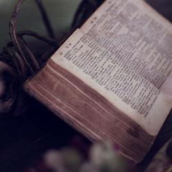 Das Bild zeigt eine Bibel