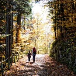 Das Bild zeigt zwei Menschen bei einer Herbstwanderung im Wald